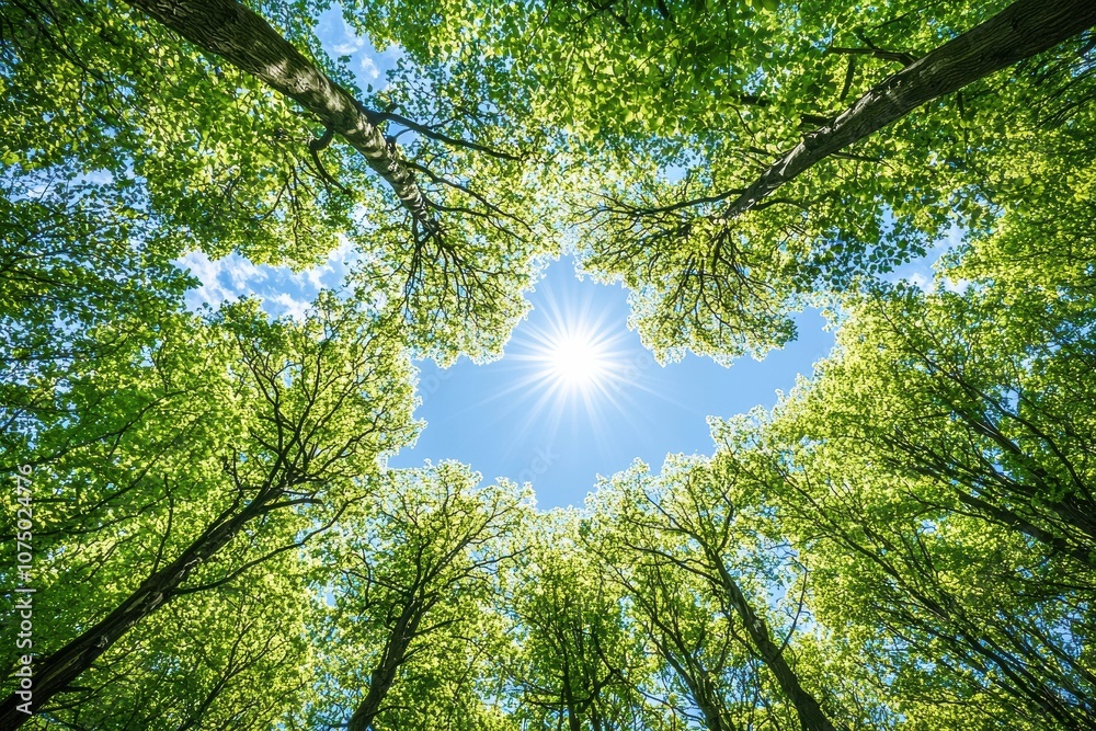 Poster sun shining through green trees canopy in springtime