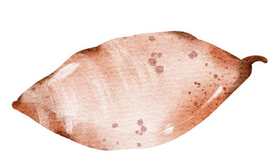 Watercolor drawing sweet potato, potato close up on isolated background. Hand drawn vegetable Element for design Flyers, pamphlets, Posters, Product Packaging.