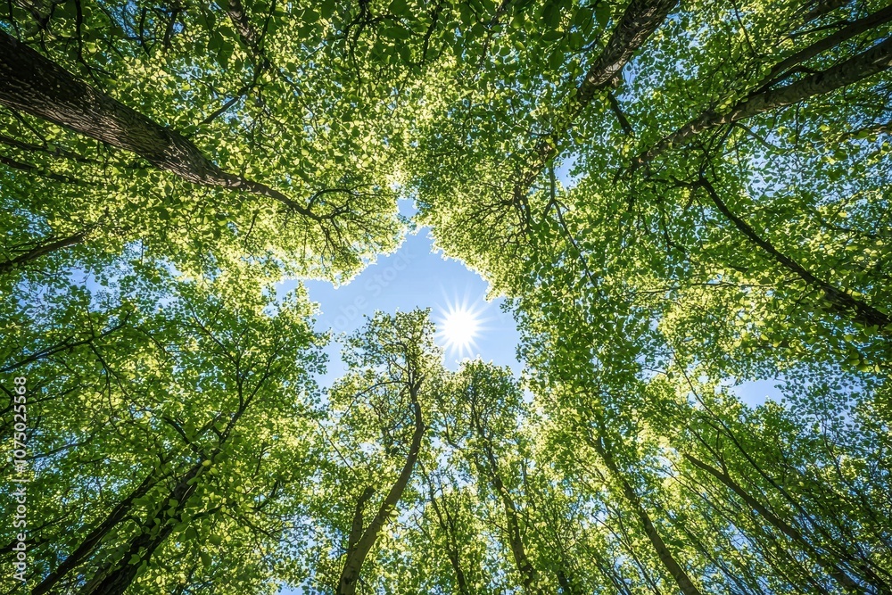 Poster sun shining through canopy of lush green trees in springtime