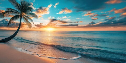 Scenic coral beach with palm tree shoreline outdoors tropical.