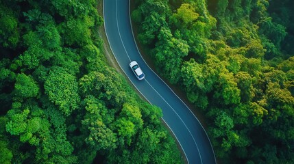 White suv driving on winding road through lush green forest: aerial drone view