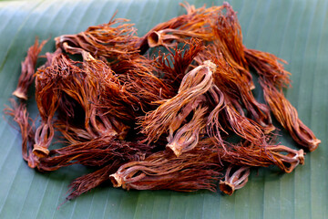 Dried Red Cotton Tree Flower