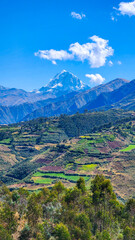MOUNTAIN LANDSCAPE. MOUNTAINS WITH TREES ON A SUNNY DAY. ANDES MOUNTAIN RANGE, PERU. PERU TRAVEL.