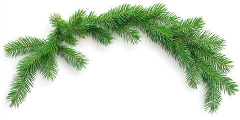 Obraz premium A decorative arrangement of evergreen branches, suitable for seasonal decor.
