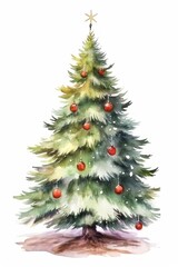 Fototapeta premium Christmas tree tradition plant
