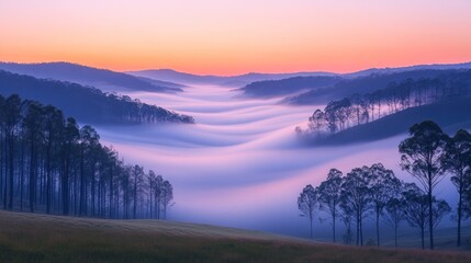 Fototapeta premium Serene landscape of rolling hills shrouded in mist at dawn.