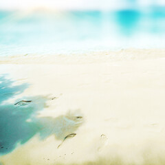 Tropical ocean beach