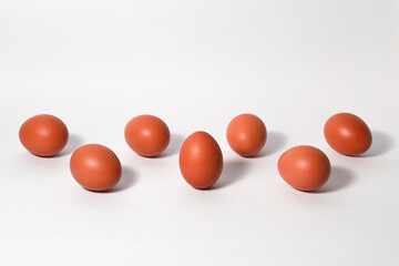 Chicken eggs on isolated white background