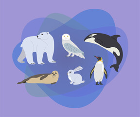 Cute arctic animal cartoon character vector illustrations set. Polar bear, penguin, seal, hare, owl, killer whale, fauna of North Pole isolated on white background. Winter, wildlife, nature concept