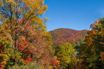 A telephoto view of a mountain top framed by vibrant red, yellow, and green trees along the Cherohala Skyway at the Turkey Creek Overlook in Tennessee. Horizontal