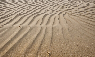 Fototapeta premium Ripples in the sand created by the tide receding on a beach