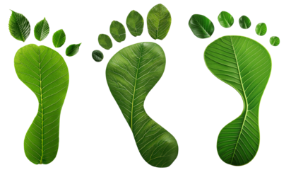 Green leaf footprints symbolizing eco-friendliness on a white background.