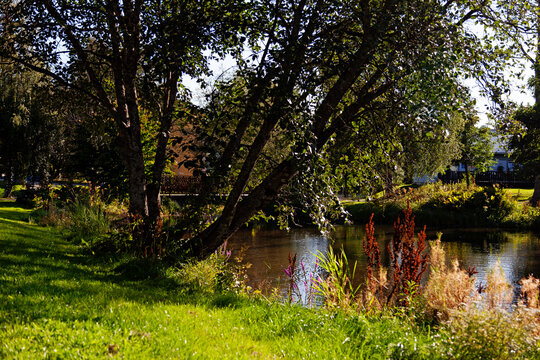 park with pond by the hospital in Umea