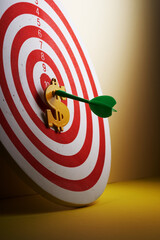 Dollar sign on bull's eye. The goal is money dollar.