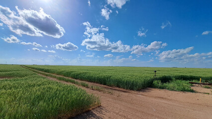 Obraz premium Landscape