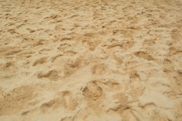 Human footprint on sand summer tropical beach background with copyspace.
Footprints on a golden beach sand background
