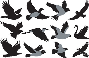 Birds silhouettes icon illustration set. different types of birds silhouettes.