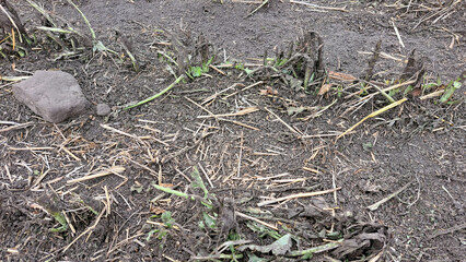 Didsbury, AB, Canada EF4 Tornado Damage