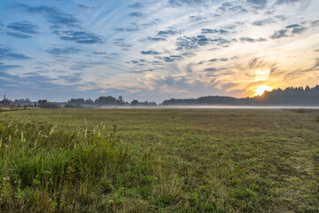 Field of grass with a cloudy sky in the background