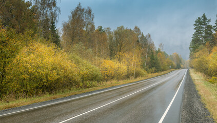 Fototapeta premium A road with trees on either side and a few cars on it