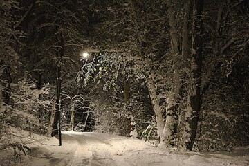 First Snowfall outside Stockholm Swden Streetlamp