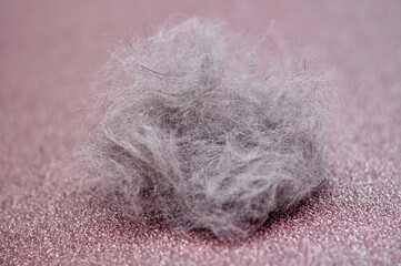 cat hair on a pink shiny background