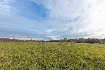 A large, open field with a clear blue sky