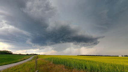 Stormy Weather