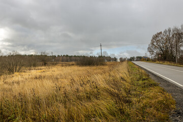 A road with a lot of grass and trees in the background