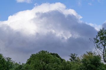 sky, clouds, nature, tree
