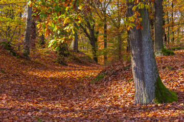 Herbst