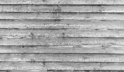 Old  grungy wooden wall with lichen on weathered boards