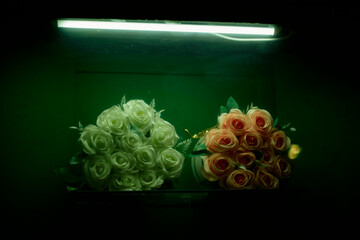 Two bouquets of white and peach roses illuminated under a greenish neon light in a dark space