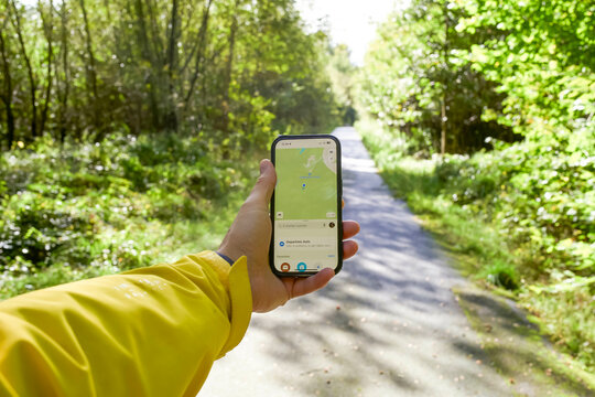 Hand holding a smartphone with navigation app on the screen against a lush green forest backdrop.