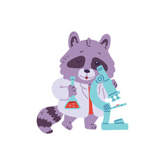 Cute racoon scientist with microscope and lab tube of chemical, vector cartoon animal laboratory biotechnology scientist