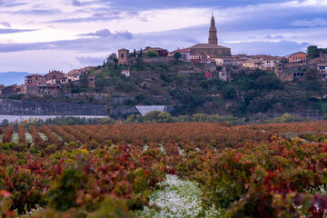An idyllic countryside scene features rolling vineyards and a distant village, capturing the peacefulness of rural life with stunning scenic views and a classic allure in Briones, La Rioja, Spain