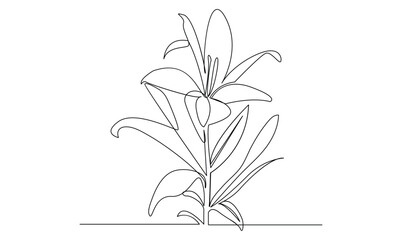 Leaf continuous one line vector drawing on white background design minimalist pro