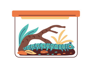 Long cute caterpillar in a glass terrarium.