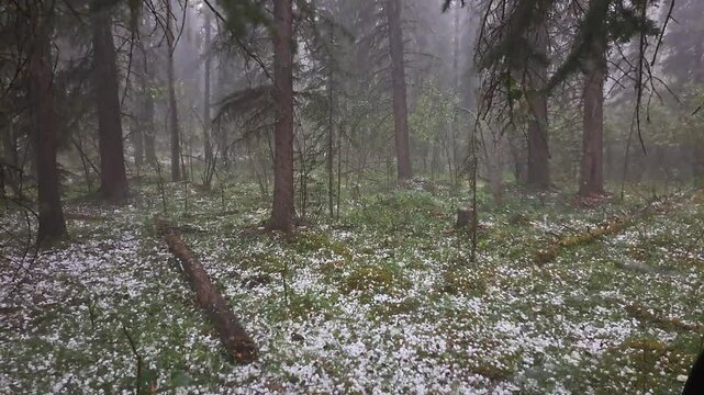 Large Hail Falling