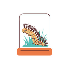 Cartoon fluffy caterpillar in glass container with plant, vector cute worm insect doodle drawn exotic pet in terrarium