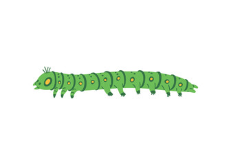 Long cute green caterpillar crawls.
