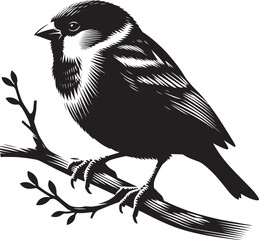 Beautiful sparrow bird silhouette vector illustration isolated on white background