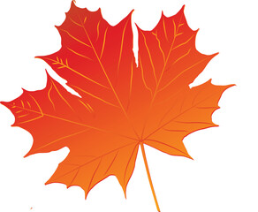 Elegant Leaf Design for Natural and Eco-Friendly Themes