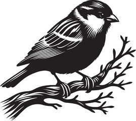 Beautiful sparrow bird silhouette vector illustration isolated on white background