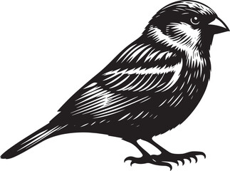 Beautiful sparrow bird silhouette vector illustration isolated on white background
