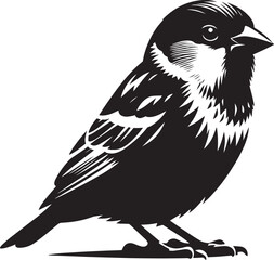 Beautiful sparrow bird silhouette vector illustration isolated on white background