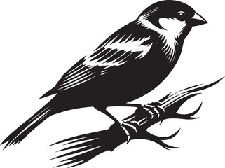 Fototapeta premium Beautiful sparrow bird silhouette vector illustration isolated on white background