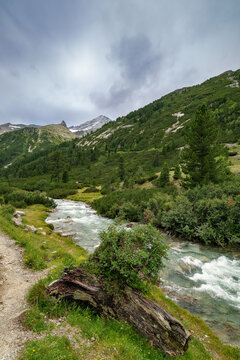 Hochgebirgswanderung auf der "Via Alpina" entlang des "Zamserbach" durch den "Zamser Grund" zum "Pfitscher Joch"