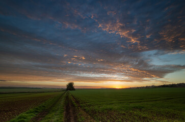 The landscape of France 