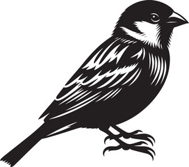 Beautiful sparrow bird silhouette vector illustration isolated on white background